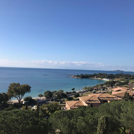 Superbe Appartement T2 Vue Magnifique Sanguinaires A 50M De La Plage Ajaccio  Luaran gambar
